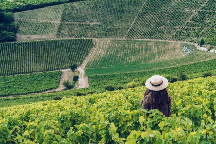 Camping Les Portes De Sancerre 圣萨蒂尔 外观 照片